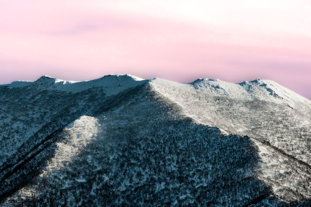 Фотография автора Павел Ващилов