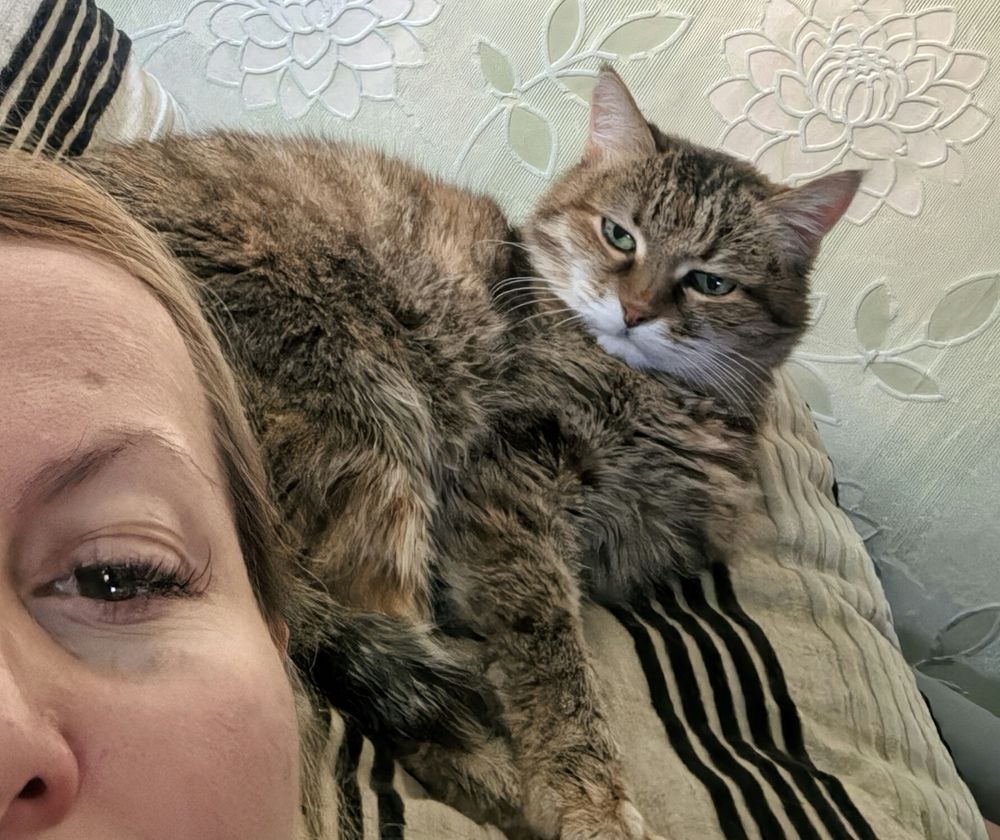 Фотография автора Елена Охапкина