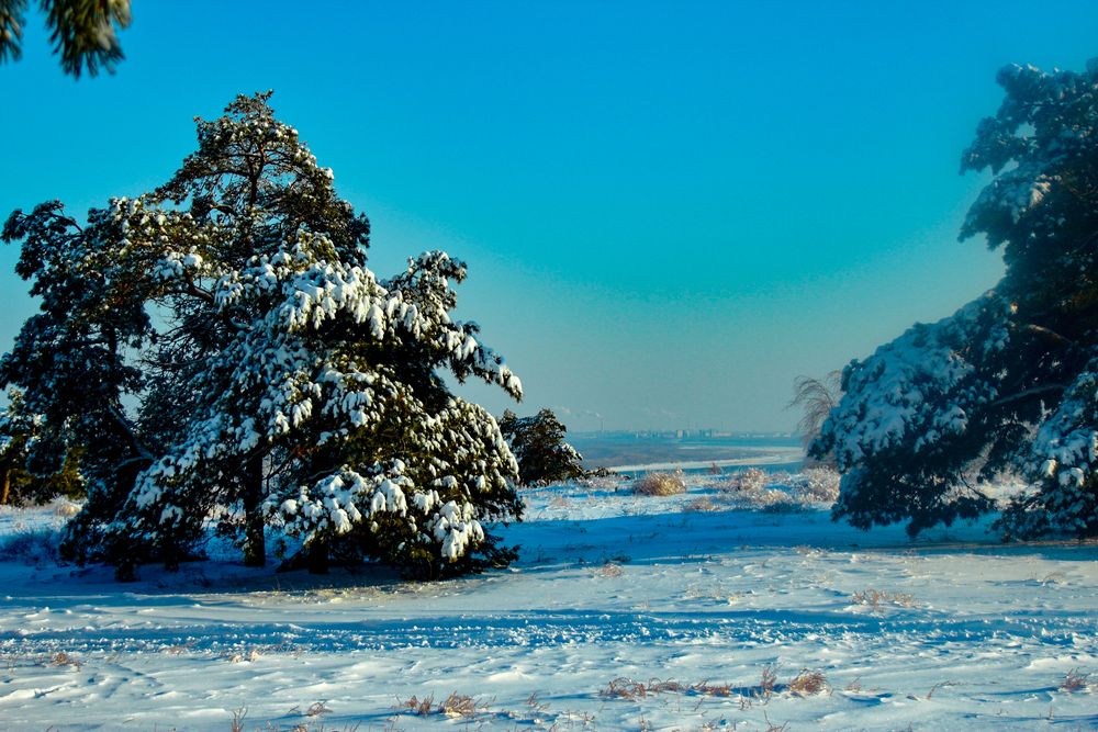Фотография автора Ирина Шибитова
