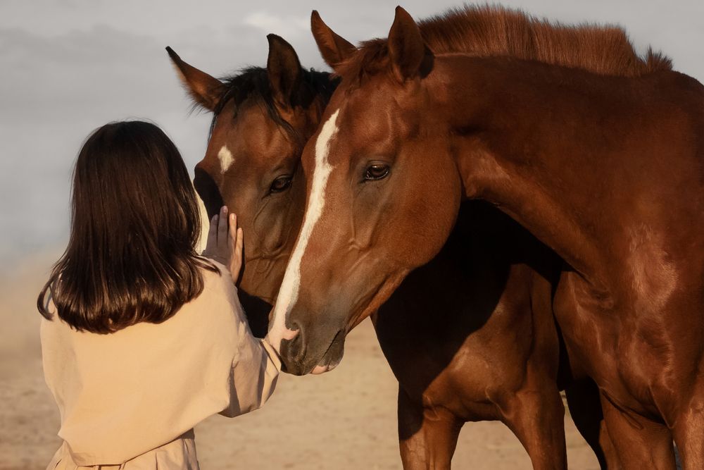 Photograph by Макари Лия