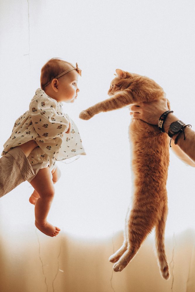 Photograph by Ekaterina KUKHARENKO