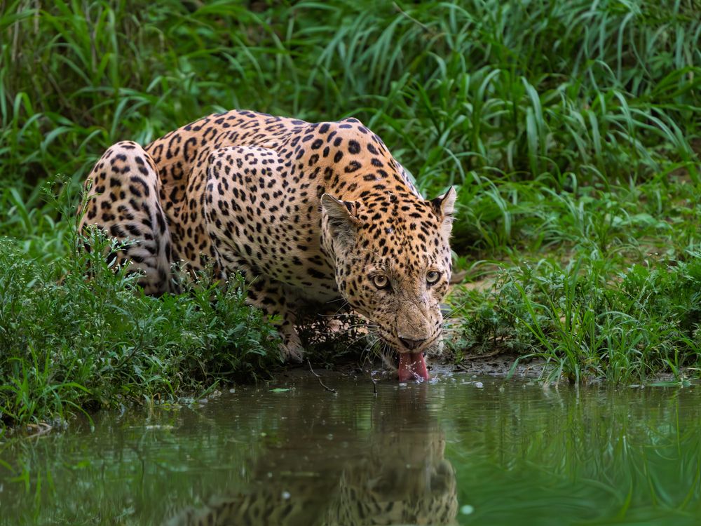 Photograph by Vipin P C