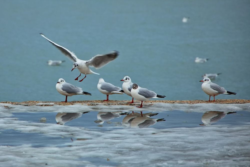 Photograph by Олег Раков