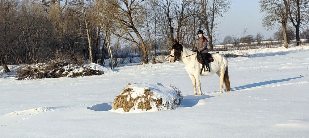 Фотография автора Юрий Сапрыкин