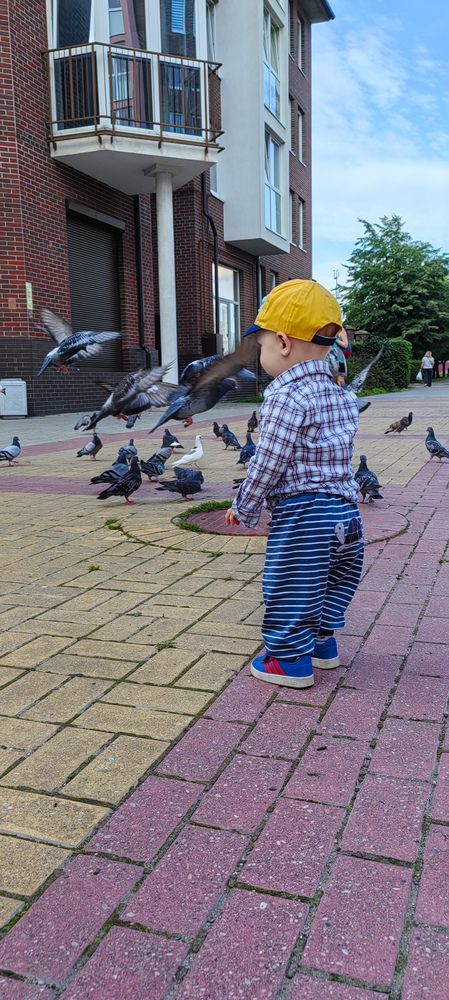 Фотография автора Юрий Сапрыкин