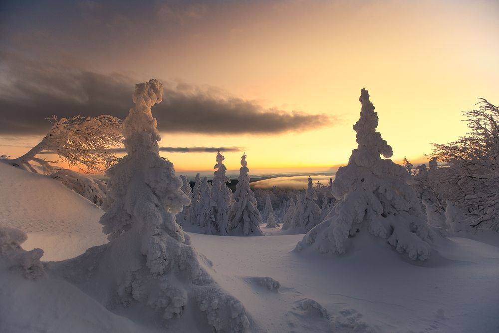 Фотография автора Кочкин Владимир