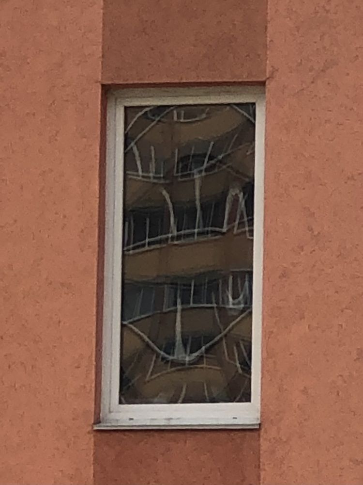 Фотография автора Светлана Гончарова