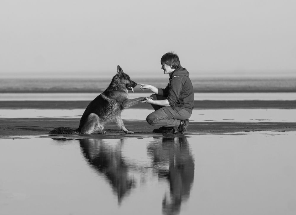 Photograph by Валерия Заноска