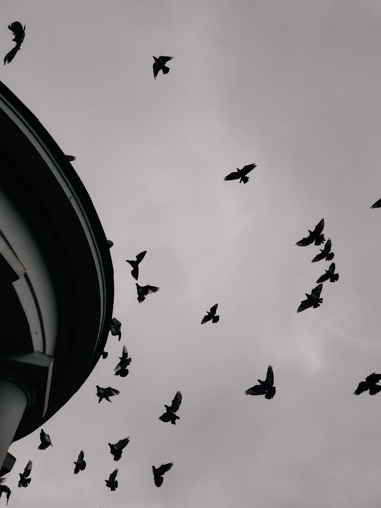 Photograph by Константин Шипицын