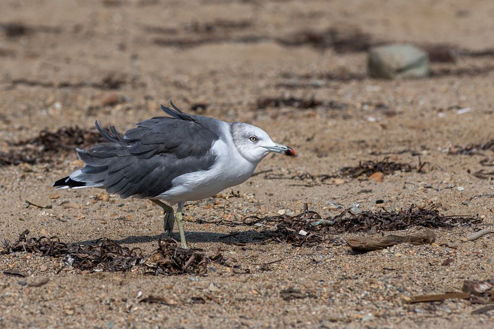 Фотография автора Чекалев Алексей
