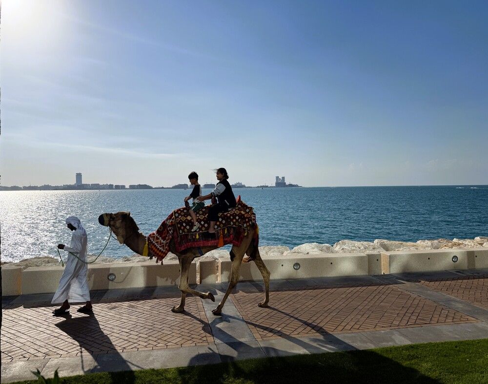 Photograph by Светлана Парамонова