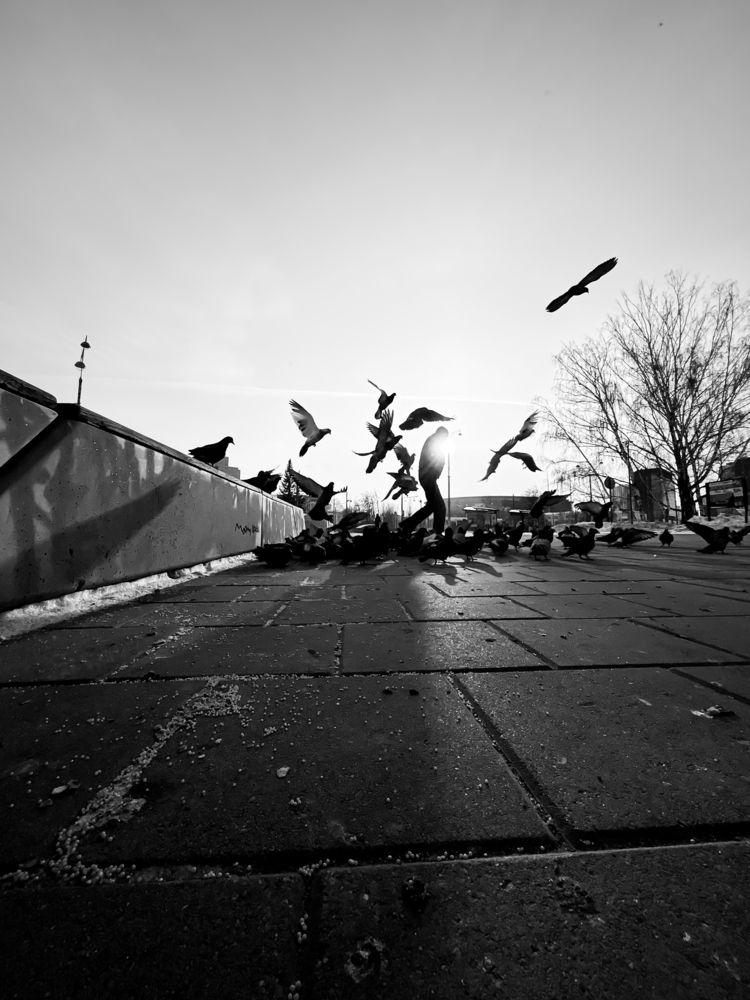 Photograph by Константин Шипицын