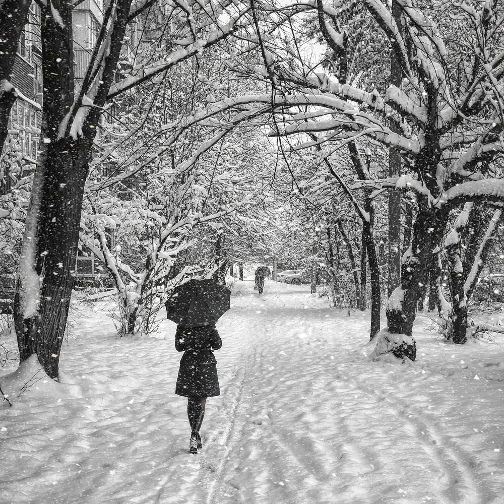 Photograph by Юрий Левко