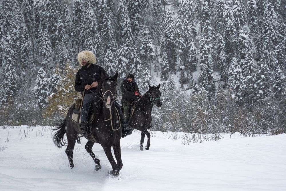 Photograph by Ольга Католичук