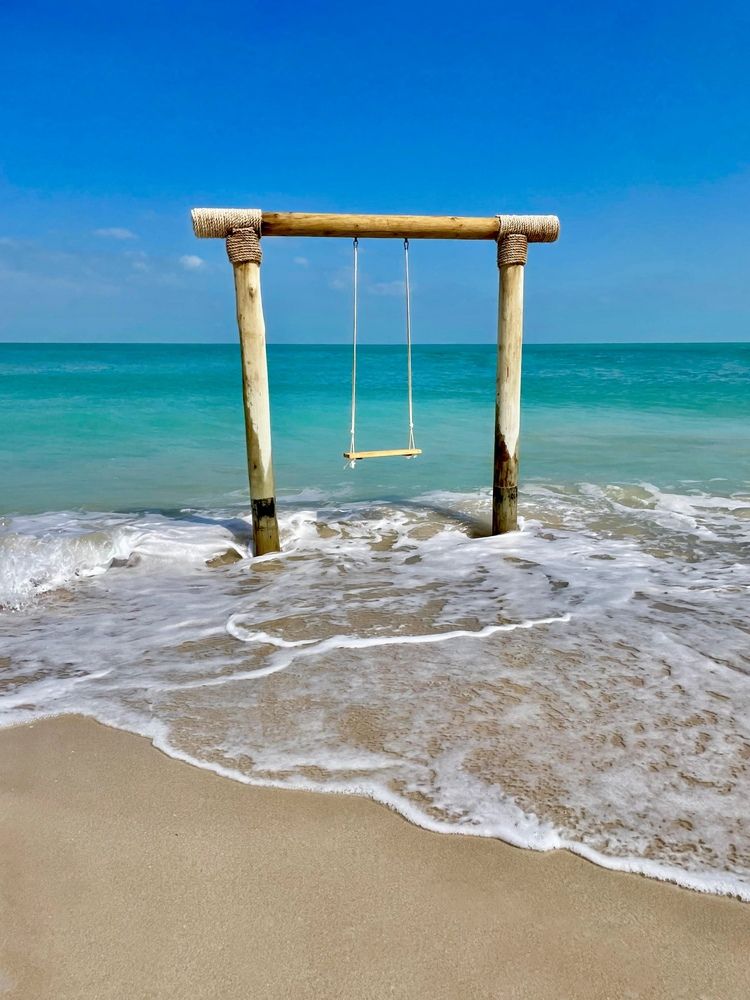 Фотография автора Svetlana Rashidova