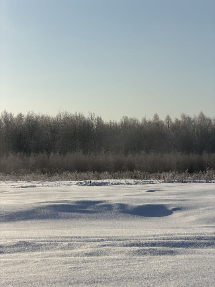 Photograph by Оксана Абакумова