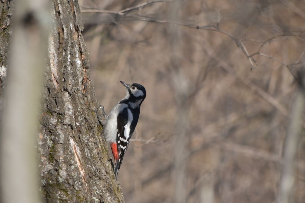 Photograph by Наталья Сорокина