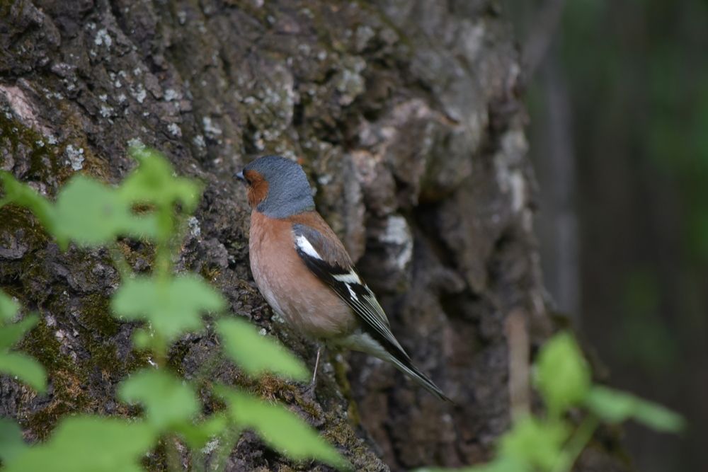 Photograph by Наталья Сорокина