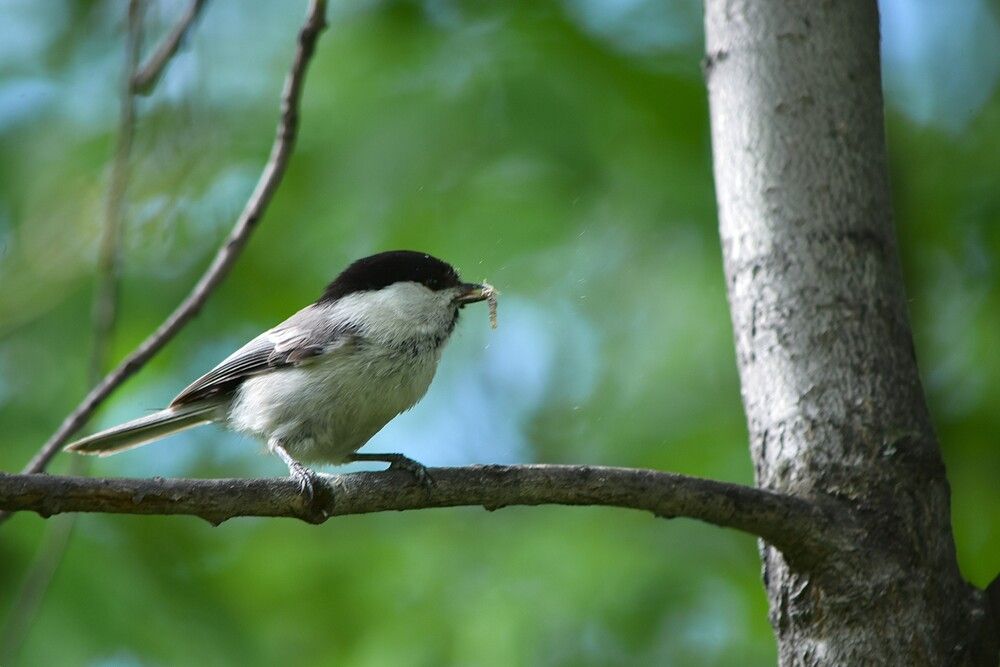 Photograph by Наталья Сорокина