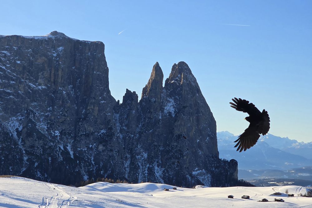 Photograph by Марина