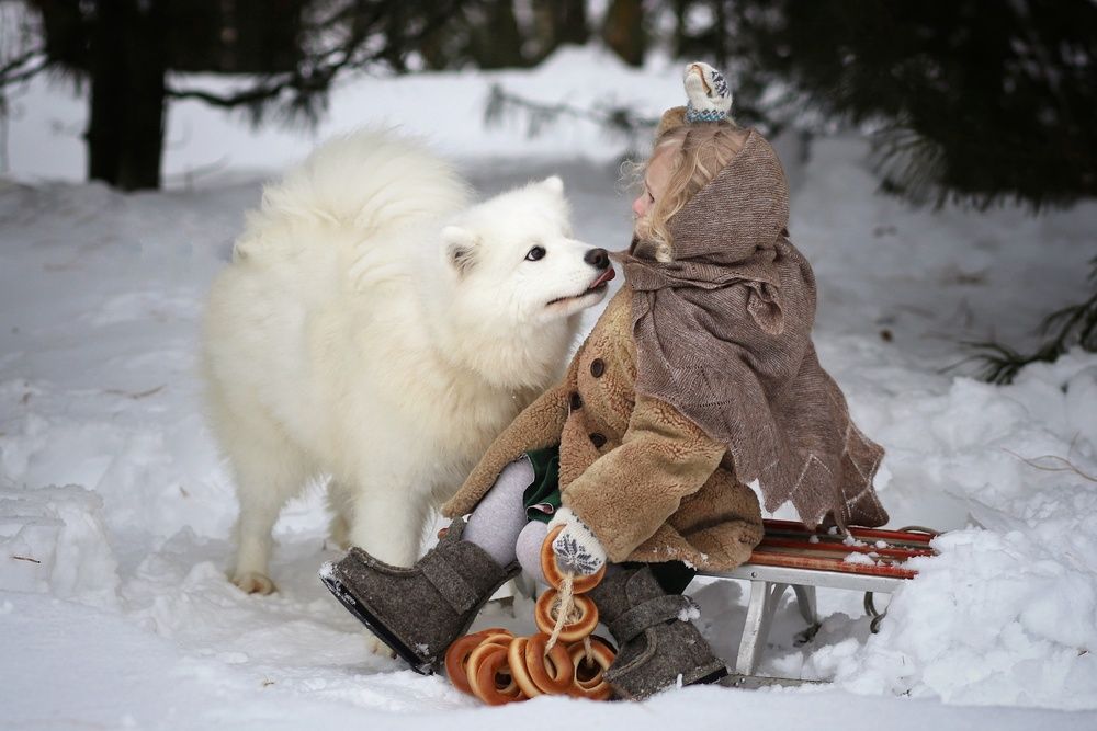 Фотография автора Елена Кириллова