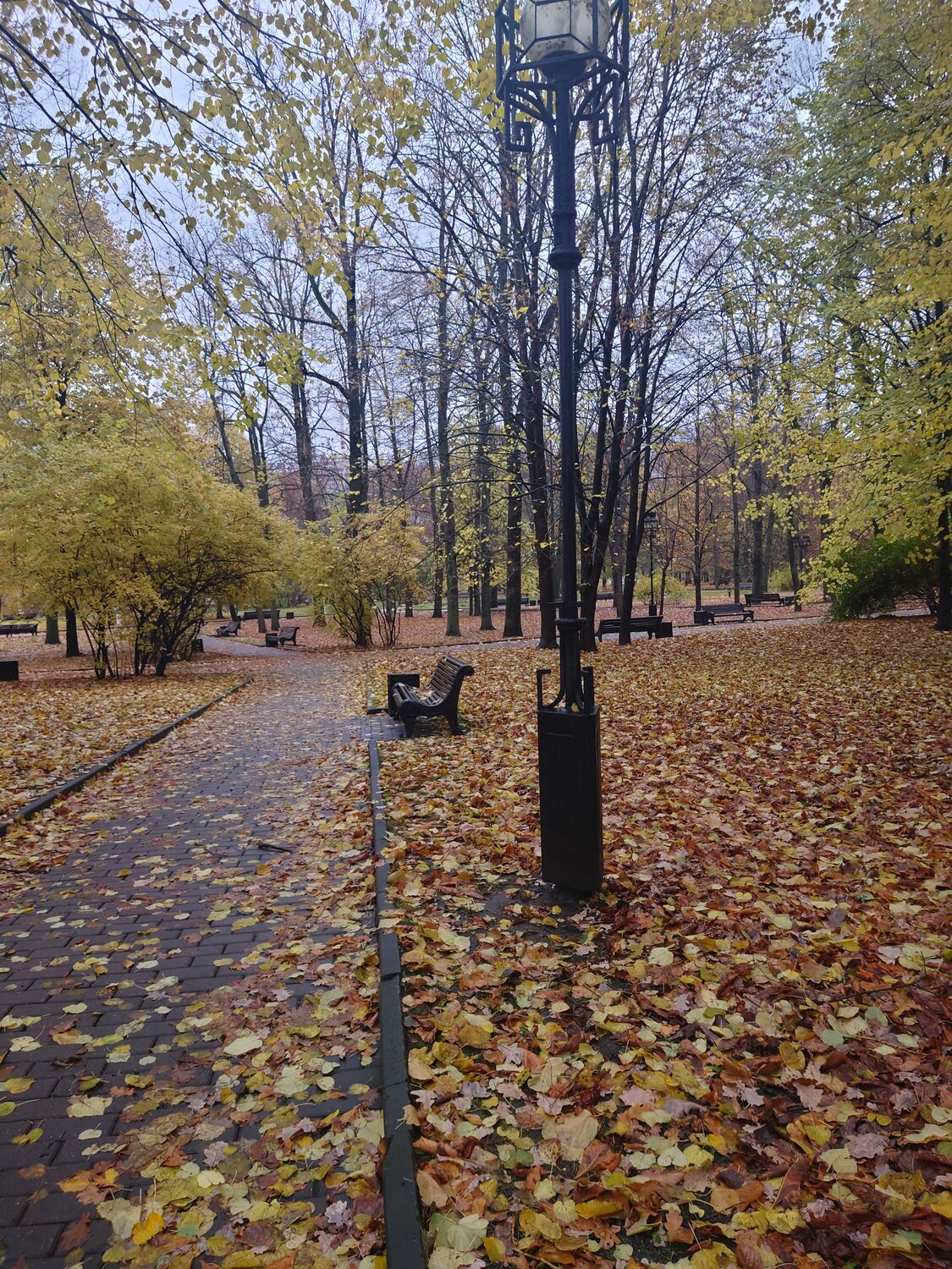 Photo #13139896
