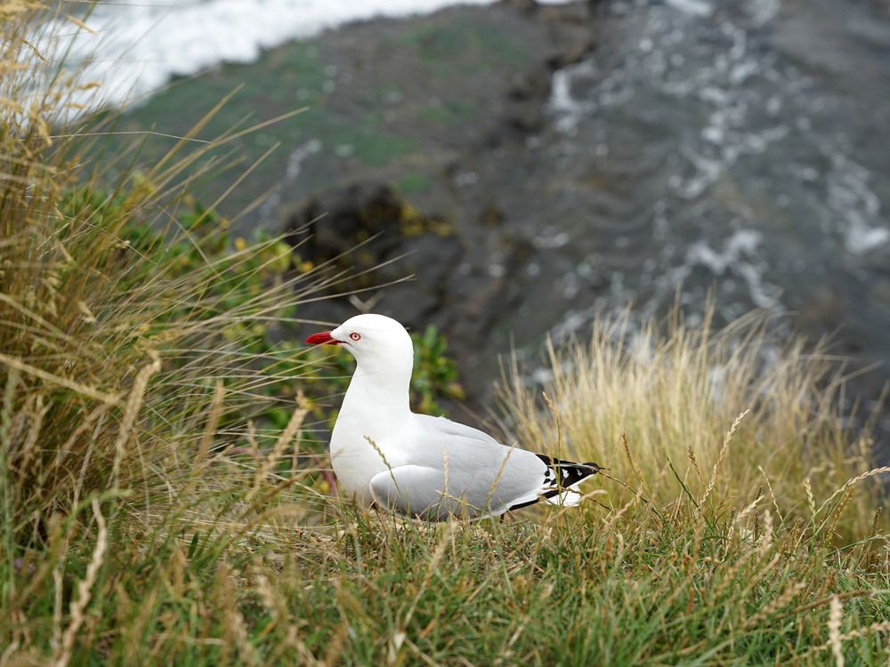 Photograph by Марина
