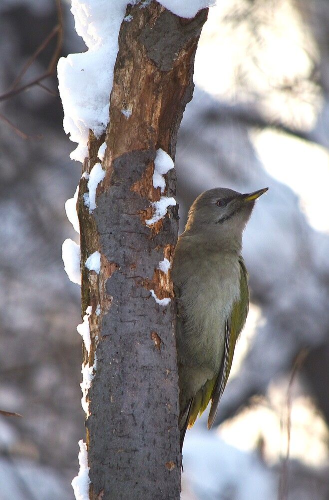 Photograph by Наталья Сорокина