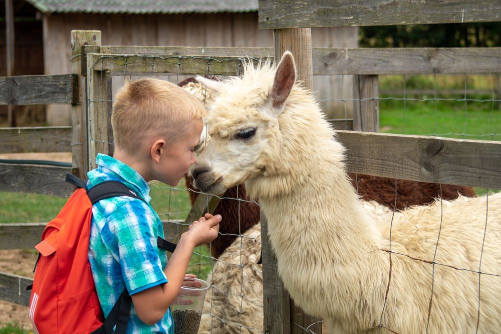 Photograph by Нина Шкляр