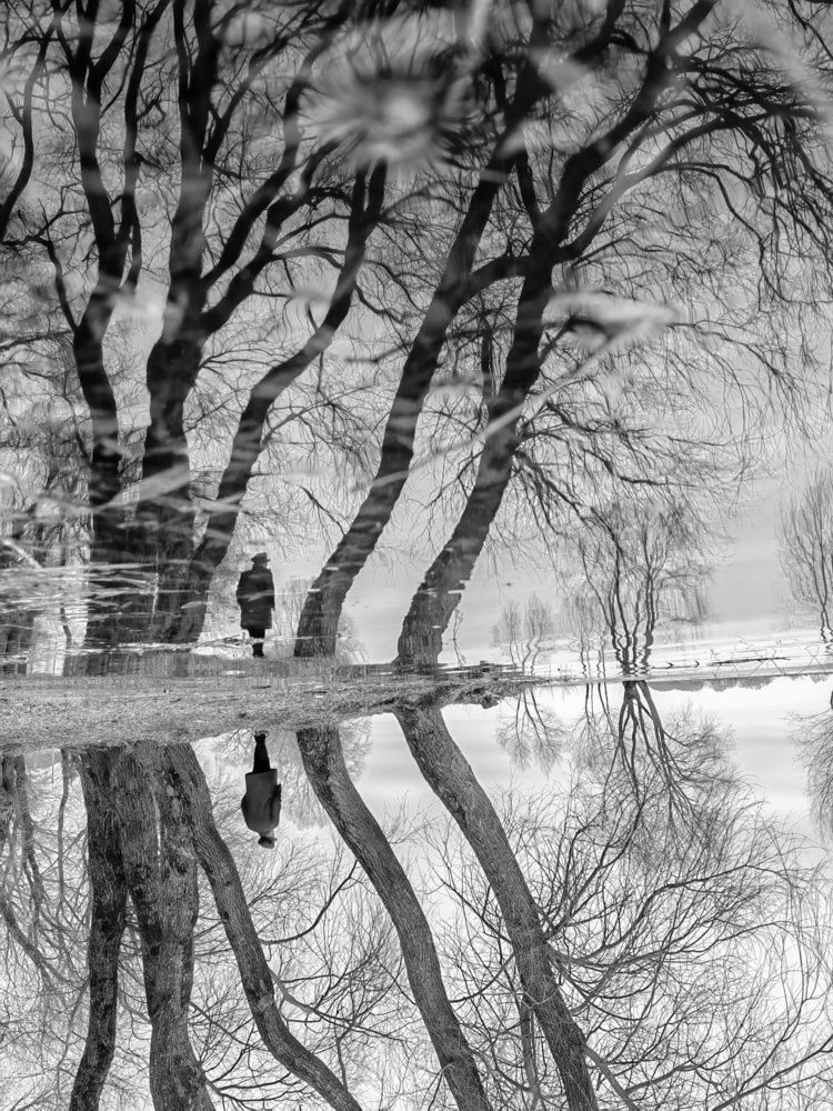 Photograph by Ульяна Кузьмина