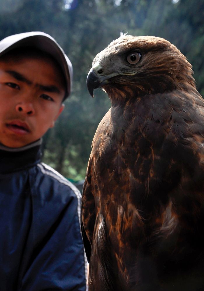 Photograph by Наталья Сорокина