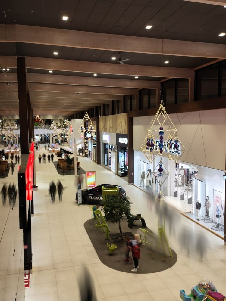 Фотография автора Лебедев Игорь