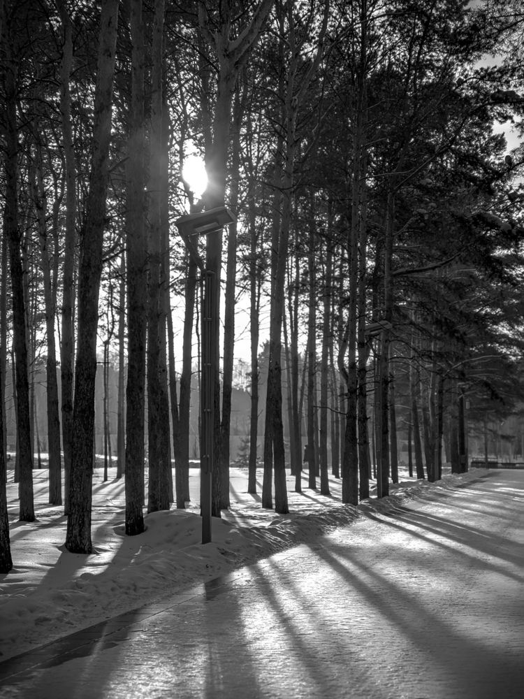 Photograph by Олега Тор