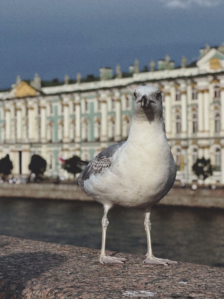 Photograph by Алена Кривцова