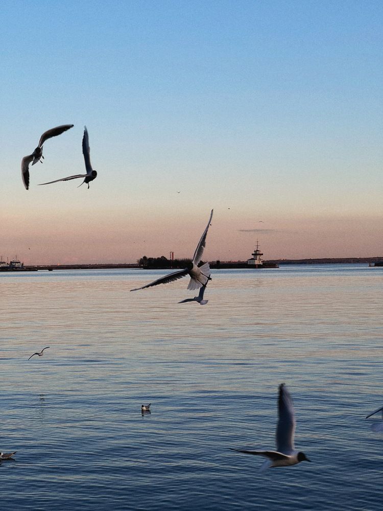 Photograph by Алена Кривцова