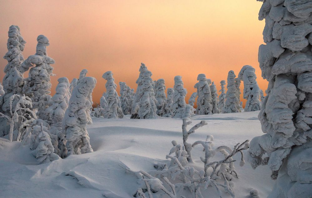 Photograph by Пешков Валерий