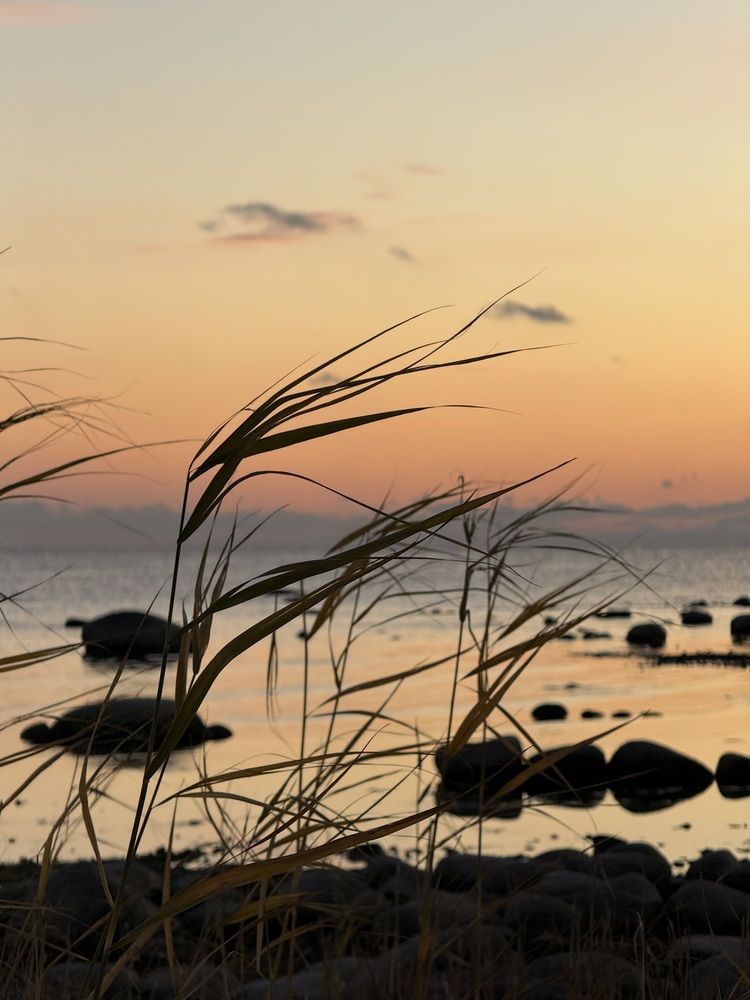 Photograph by Юлия Белоногая