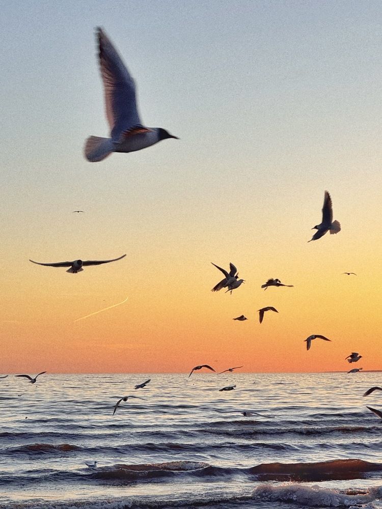 Photograph by Алена Тутыхина