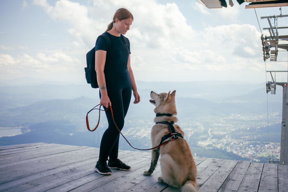 Photograph by Алина Перескокова