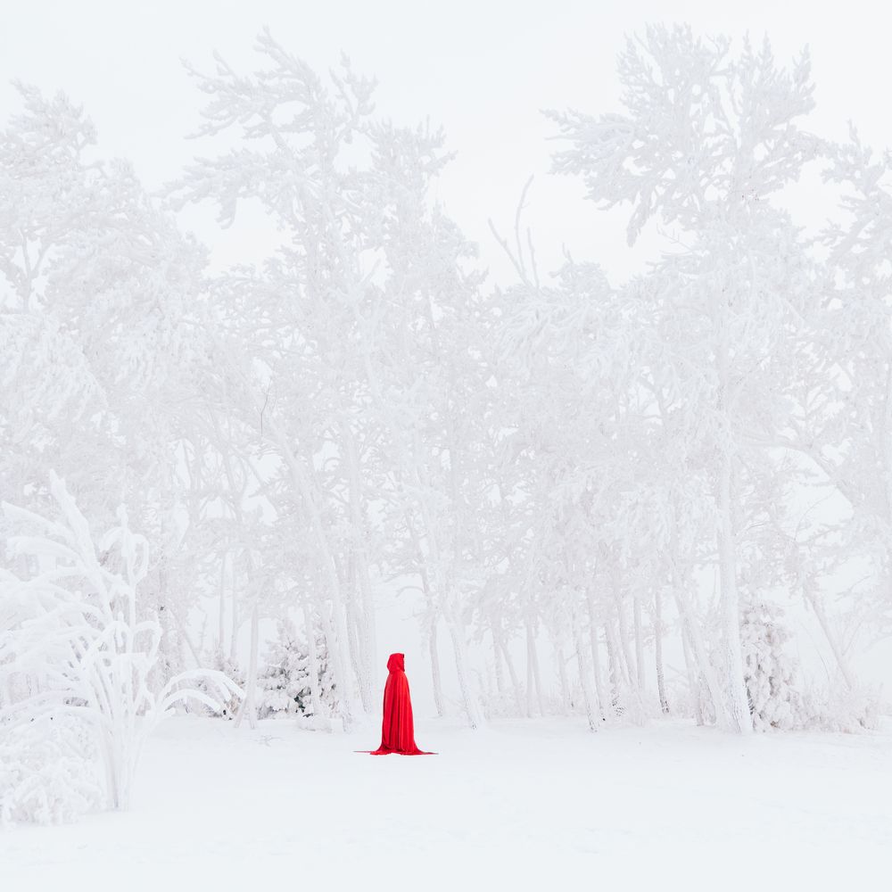 Фотография автора Анна Рыжкова
