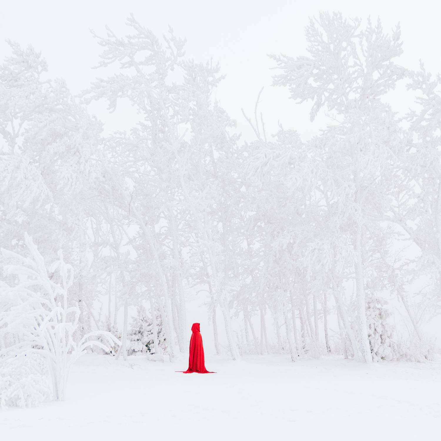 Фотография #13140249