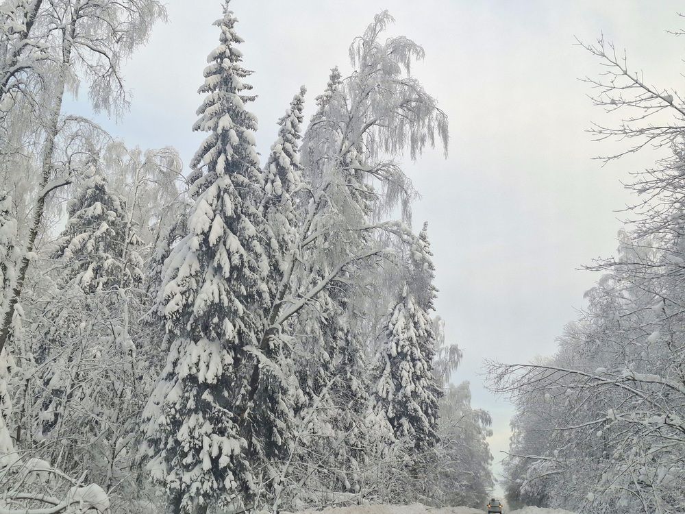 Photograph by Лебедев Олег