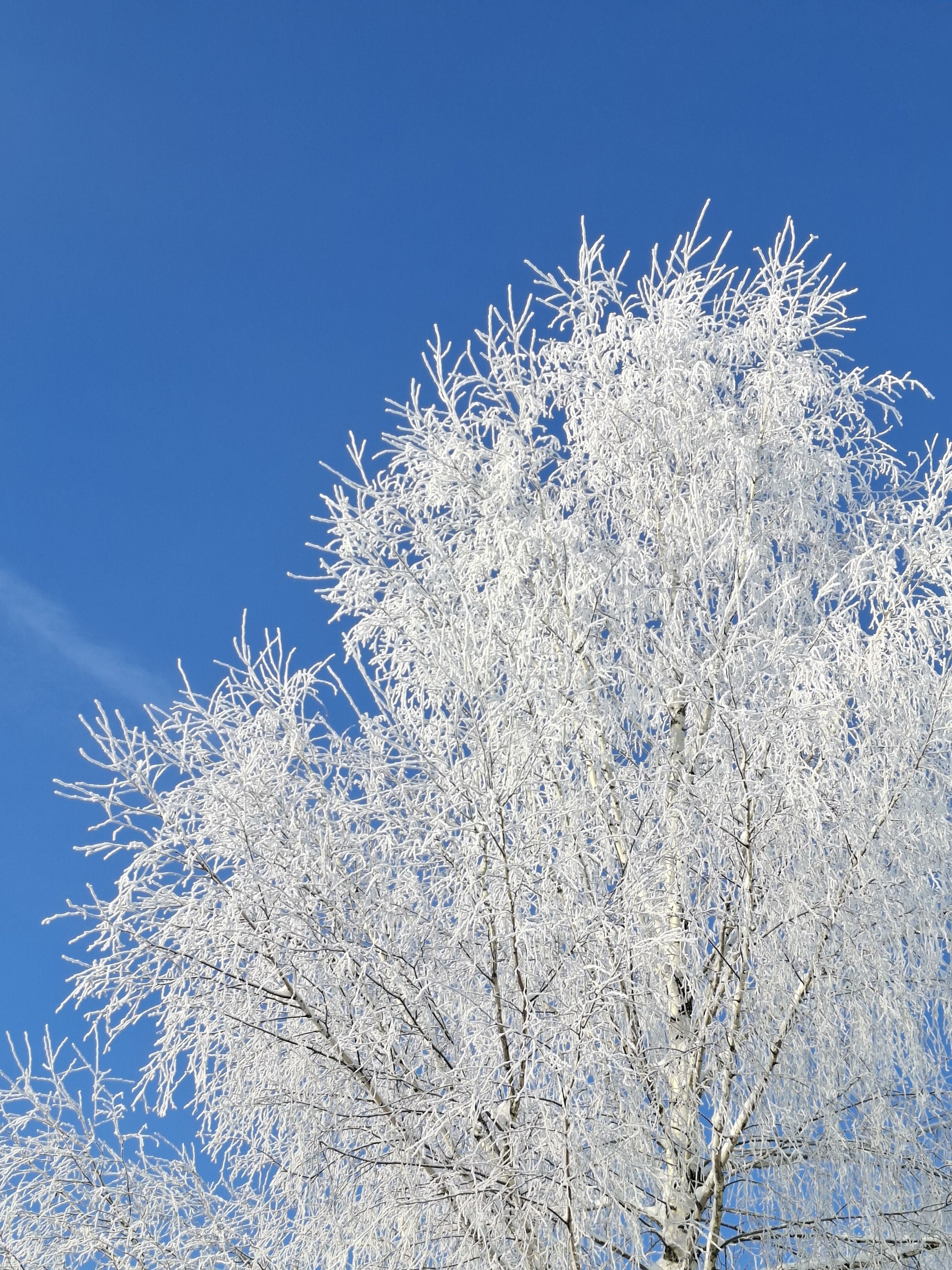 Photograph by Лебедев Олег