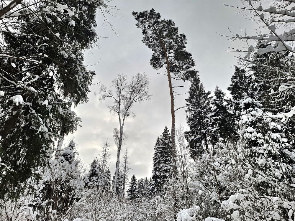 Photograph by Лебедев Олег