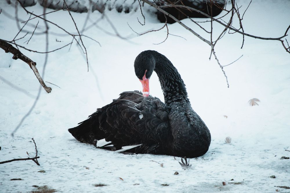 Photograph by Ольга Широкова