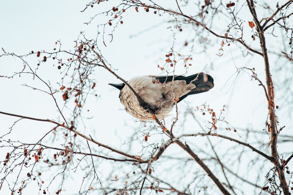 Photograph by Ольга Широкова