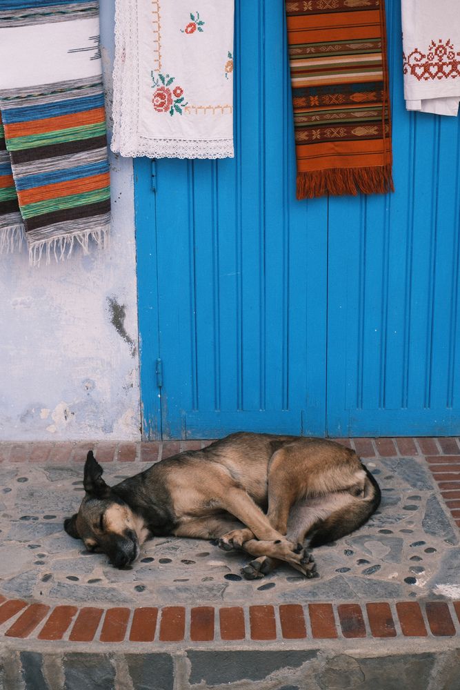 Photo #13140376