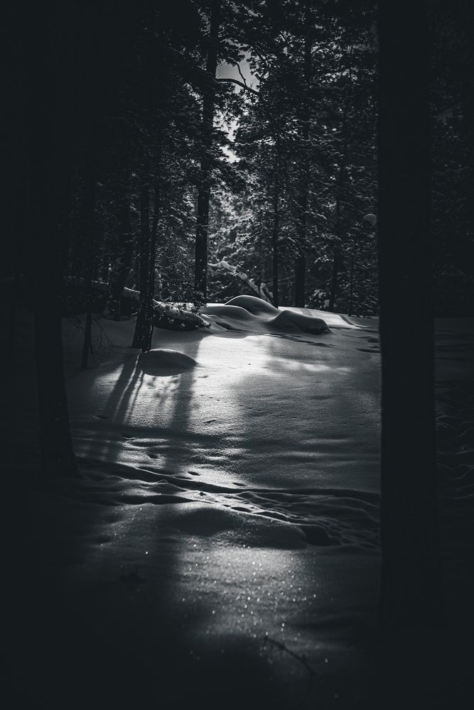 Photograph by Sergey Boiko