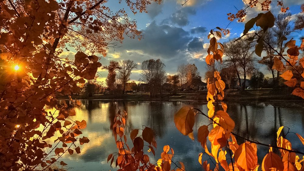 Photograph by Ольга Калимулина