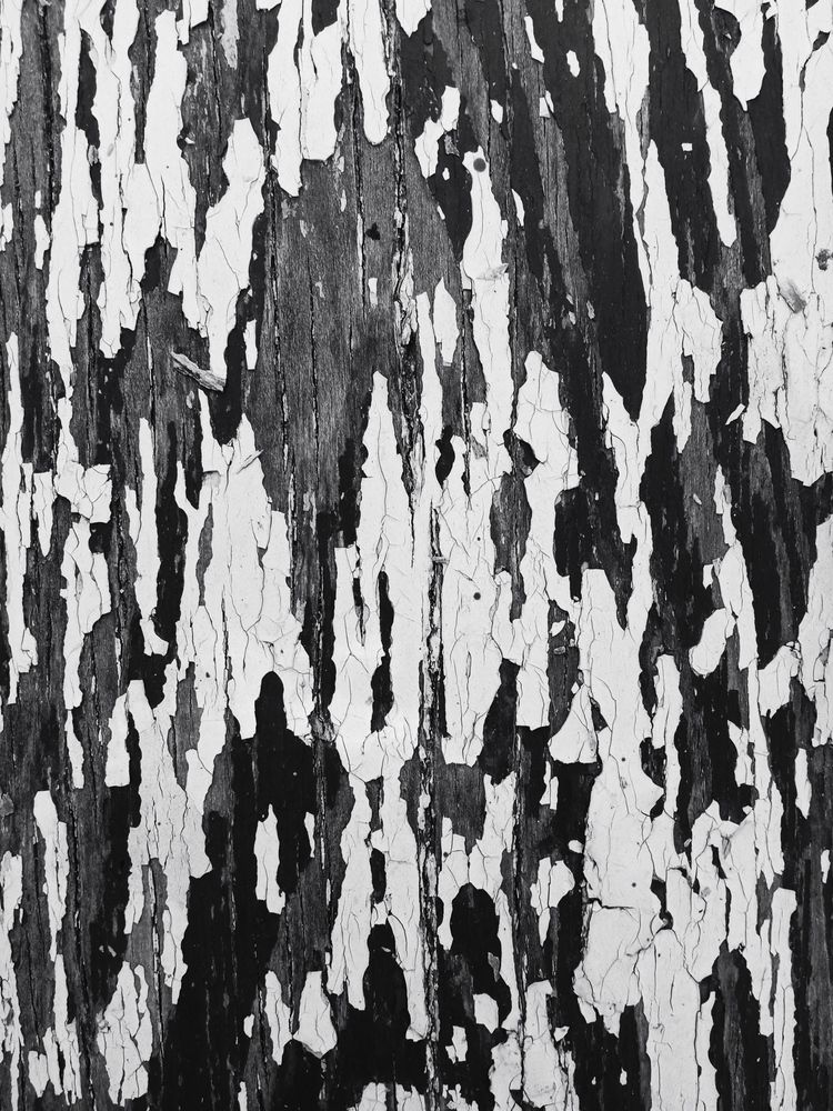 Photograph by Светлана Ищенко